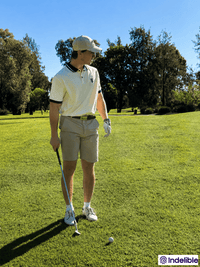Core Polo